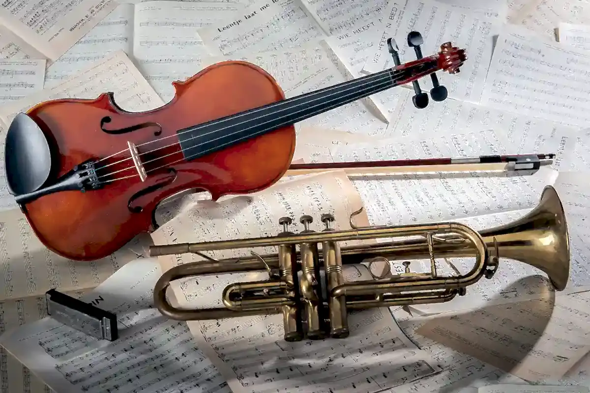 müzik aletleri genellikle 4 ana gruba ayrılır.